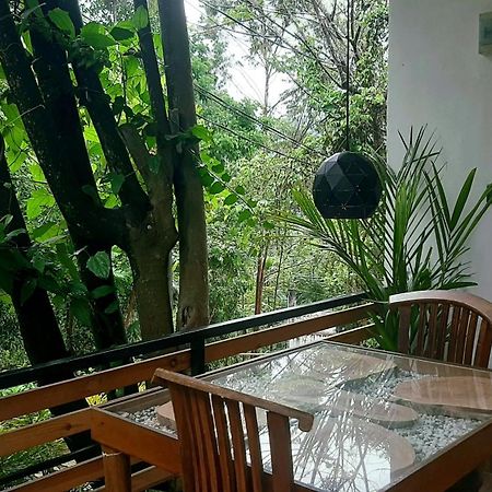 Dhanudi Homestay Ella Exteriér fotografie