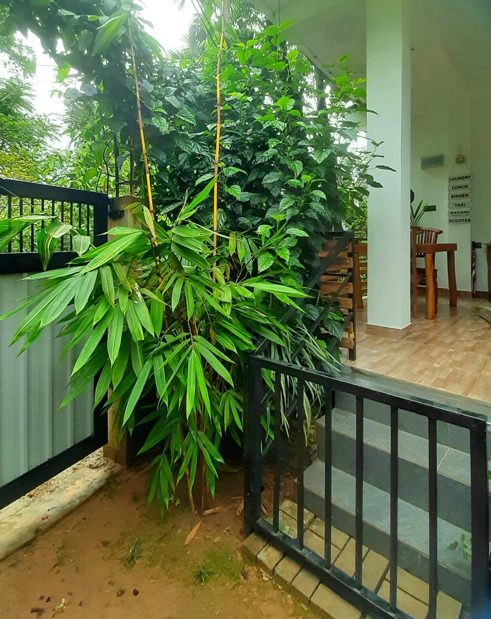 Dhanudi Homestay Ella Exteriér fotografie