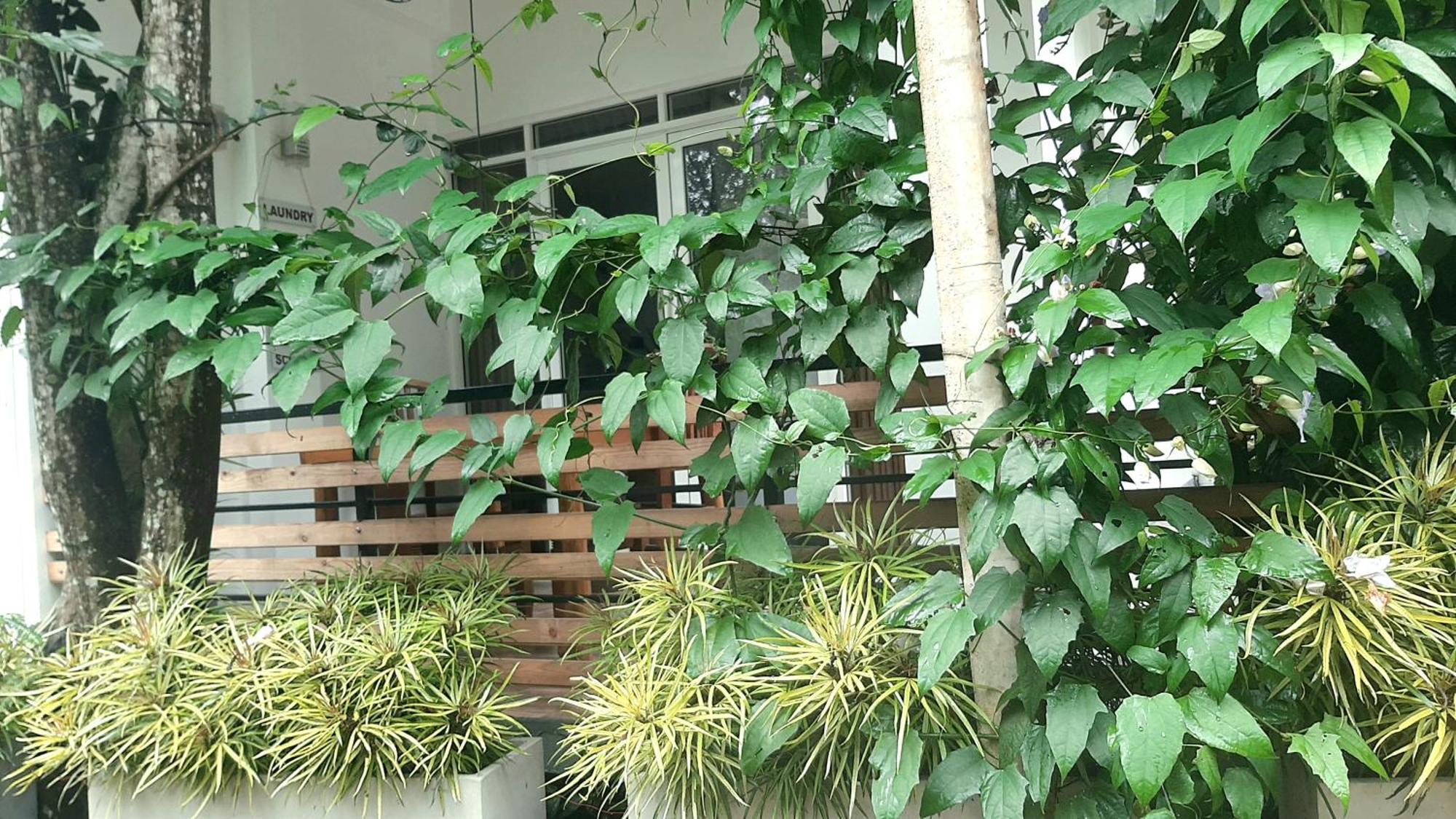 Dhanudi Homestay Ella Exteriér fotografie